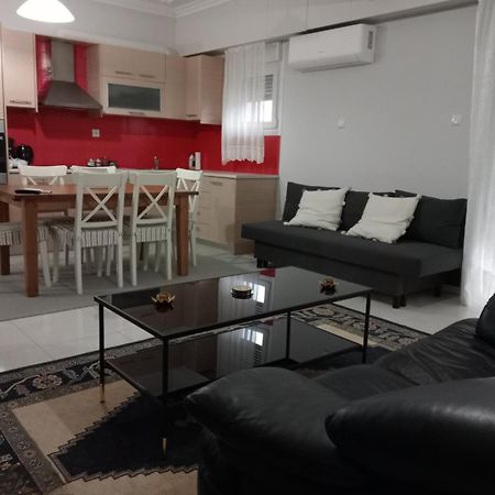 Spacious Apartment Anatoli Ioannina Ngoại thất bức ảnh